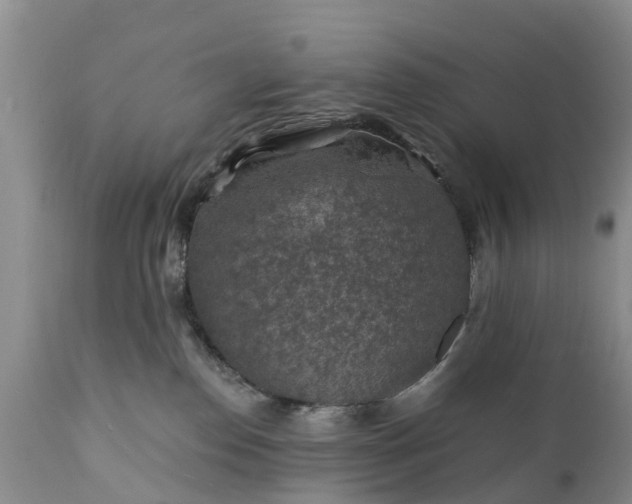 X0000111380186200907241318