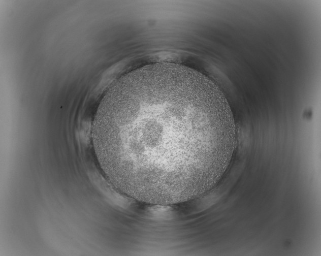 X0000111380189200907241318