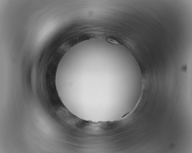 X0000111380190200907241318