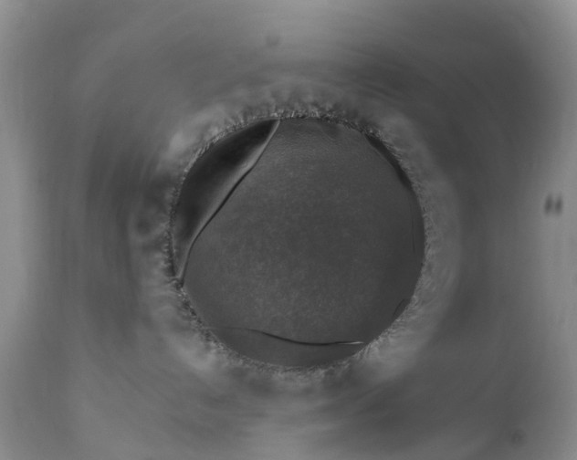 X0000111380192200907241318