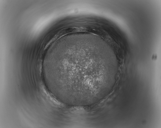 X0000111380194200907241318