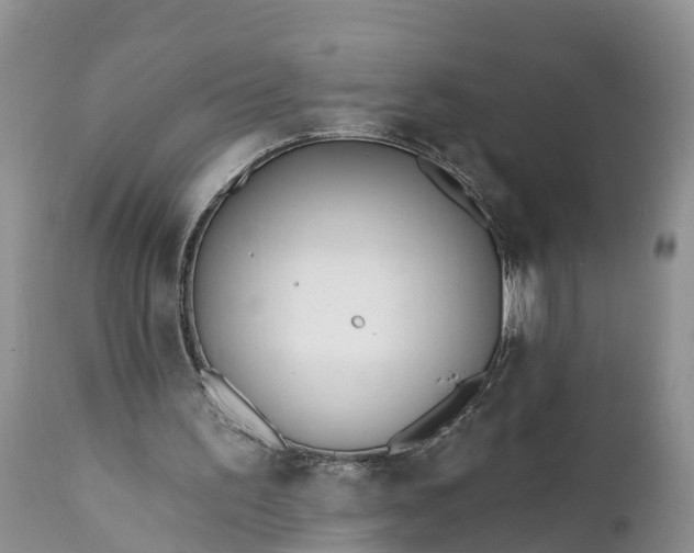 X0000111380195200907241318