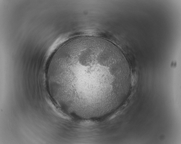 X0000111380198200907241318