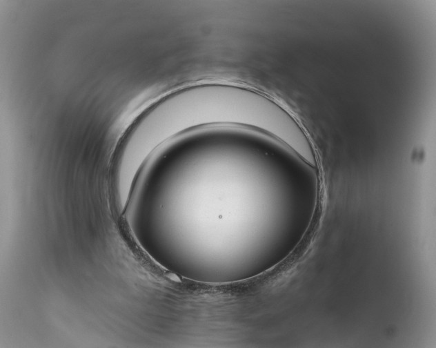 X0000111380199200907241318