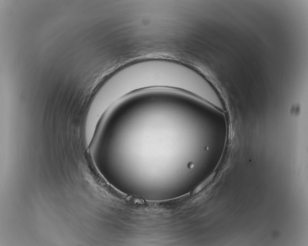 X0000111380201200907241318