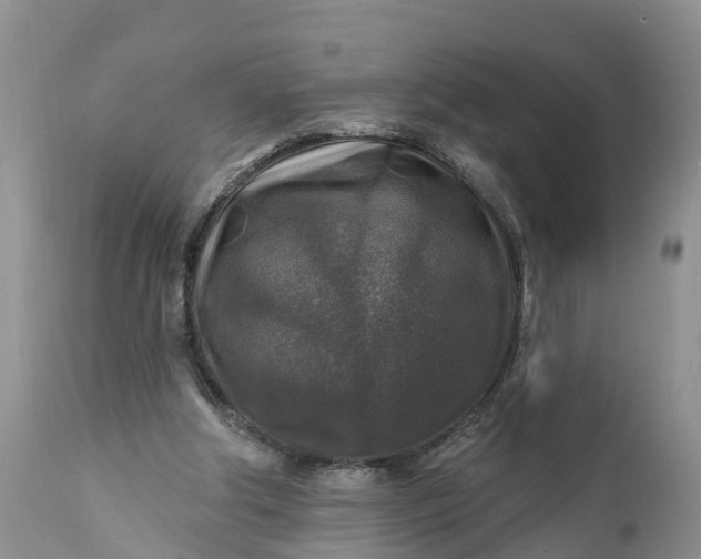 X0000111380202200907241318