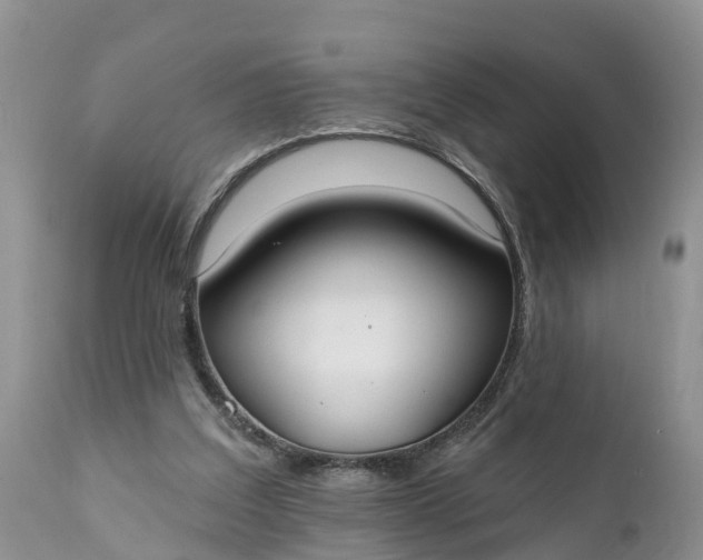 X0000111380203200907241318