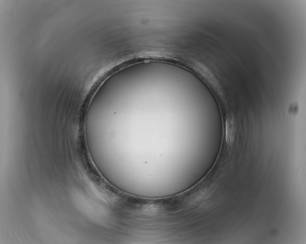 X0000111380204200907241317