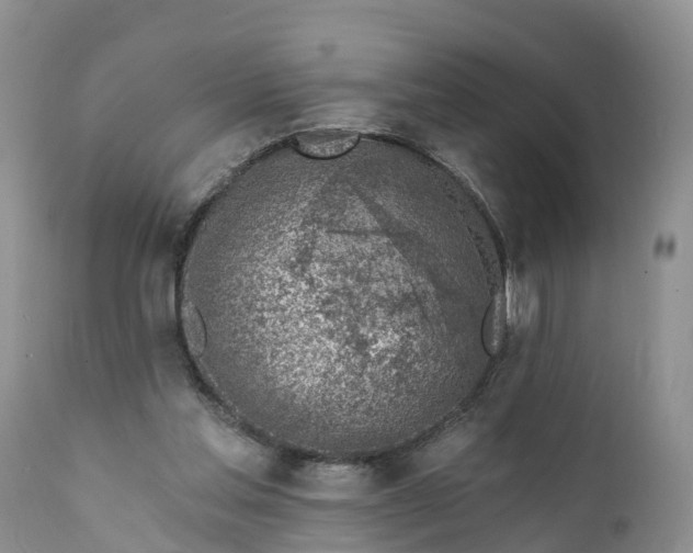 X0000111380205200907241317