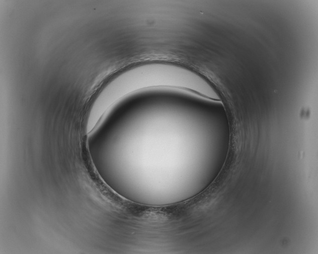 X0000111380207200907241317