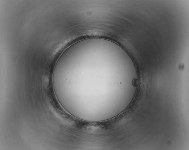 X0000111380208200907241317