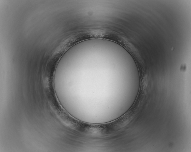 X0000111380209200907241317