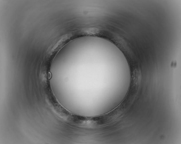 X0000111380212200907241317