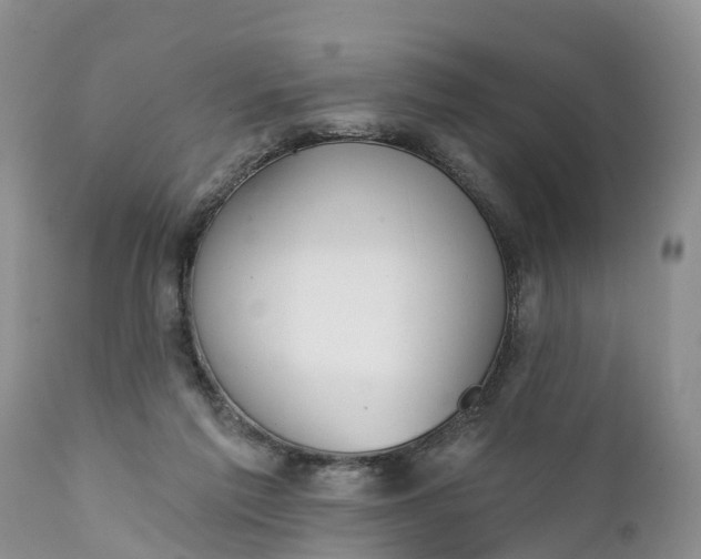 X0000111380213200907241317