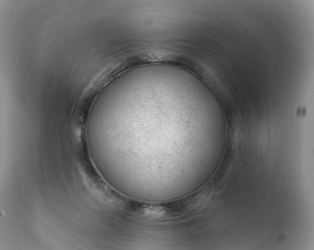 X0000111380214200907241317