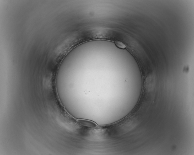 X0000111380217200907241317