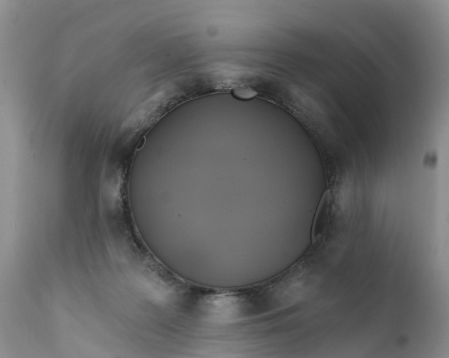 X0000111380219200907241317