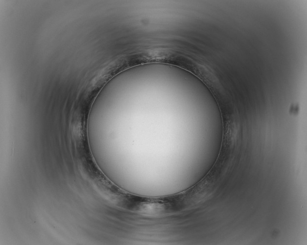 X0000111380220200907241317