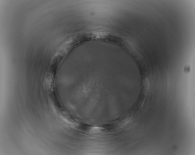 X0000111380222200907241317