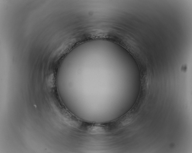 X0000111380224200907241317