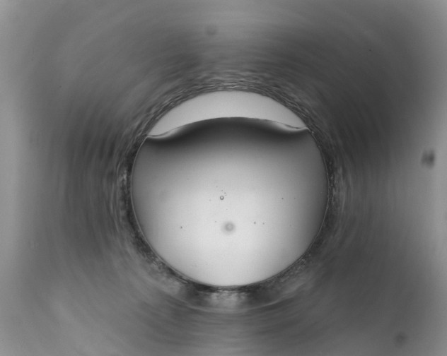 X0000111380225200907241317