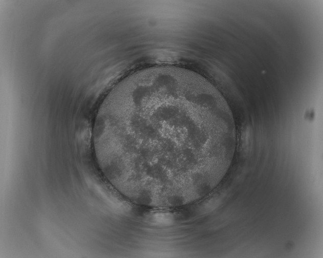 X0000111380228200907241317