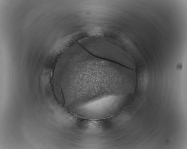 X0000111380229200907241317