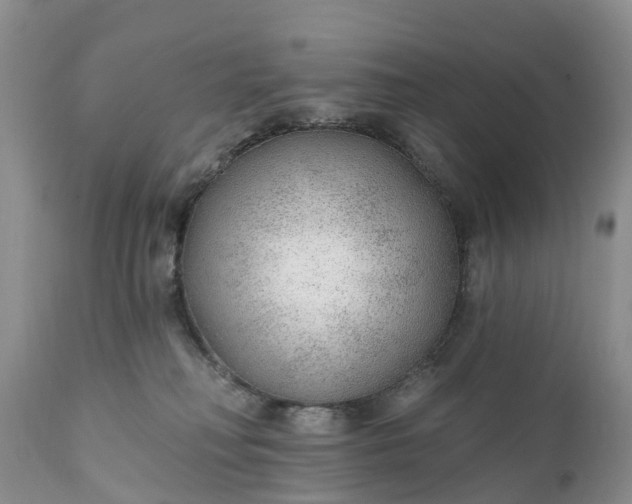 X0000111380230200907241317