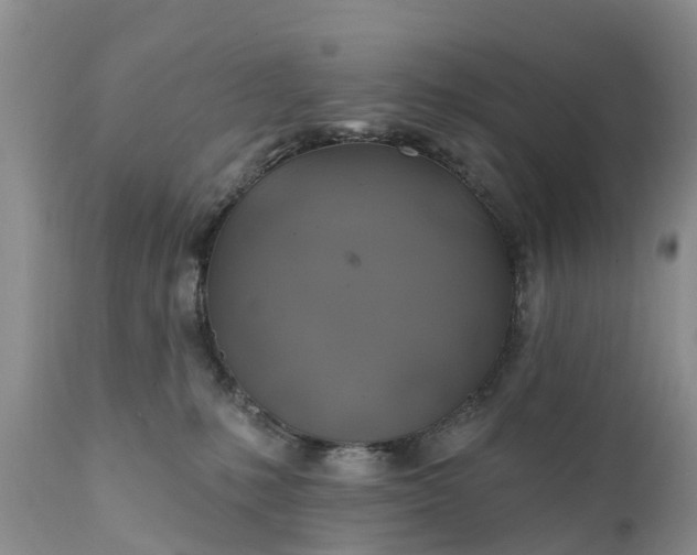 X0000111380231200907241317