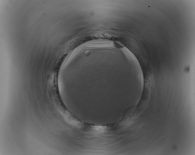 X0000111380233200907241317