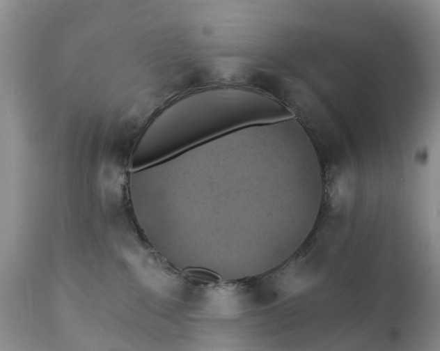 X0000111380235200907241317