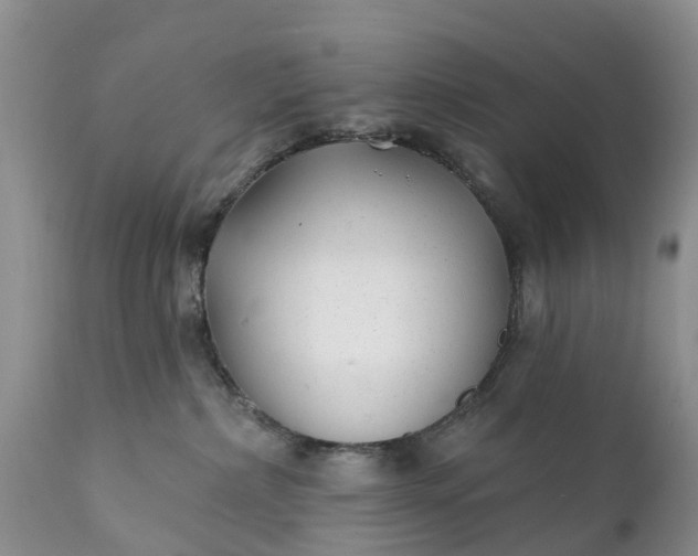 X0000111380236200907241317