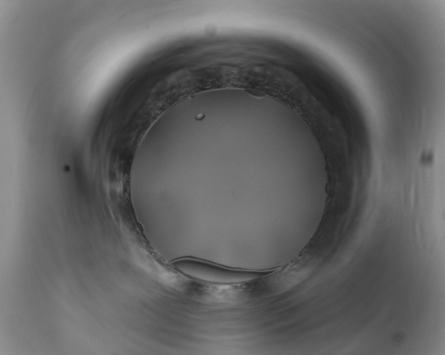 X0000111380239200907241317