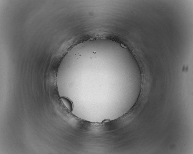 X0000111380240200907241317