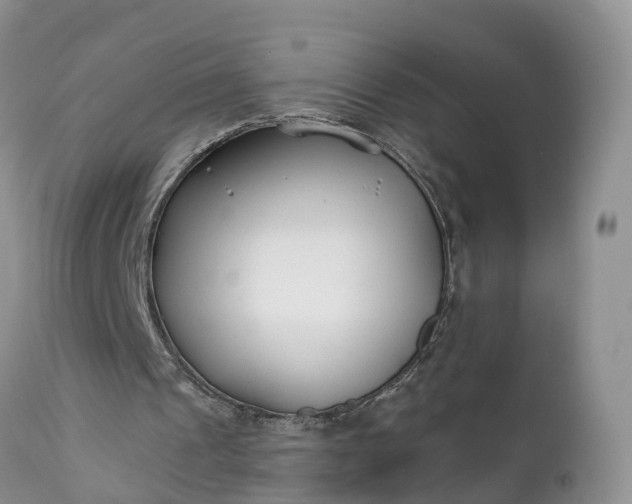 X0000111380241200907241316