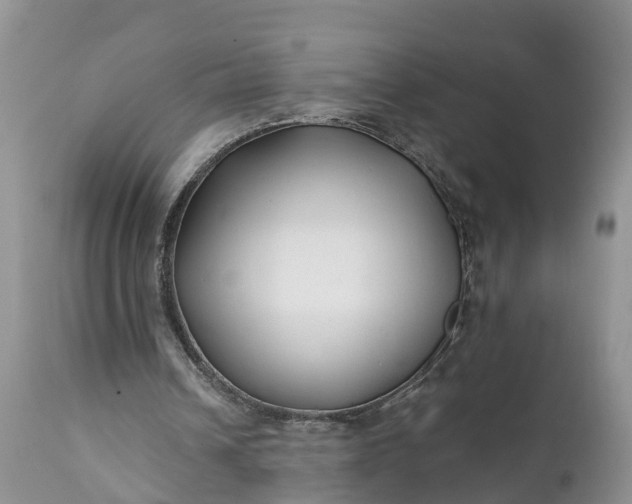 X0000111380242200907241316