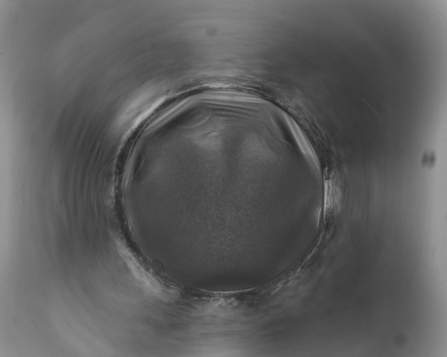 X0000111380243200907241316