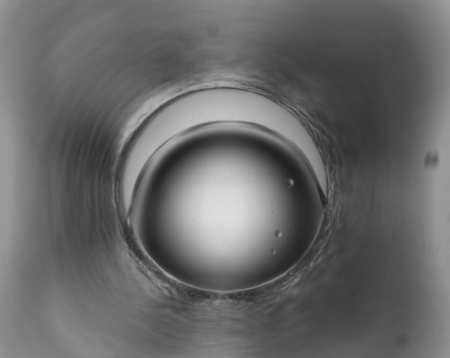 X0000111380244200907241316