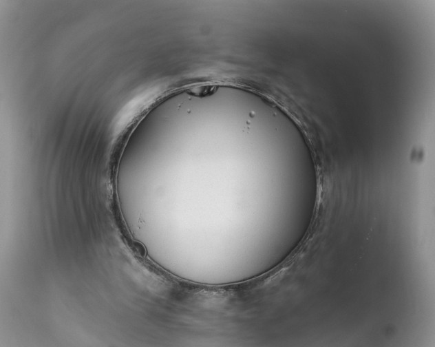 X0000111380245200907241316