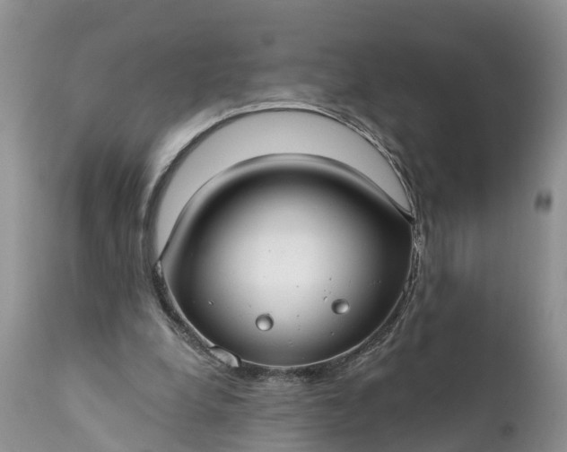 X0000111380248200907241316