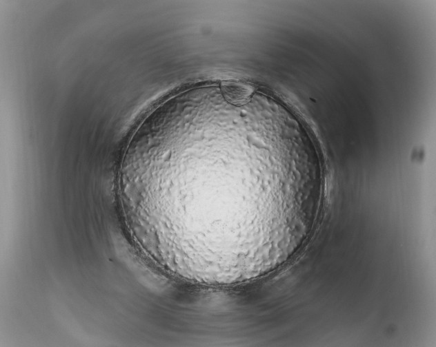 X0000111380249200907241316