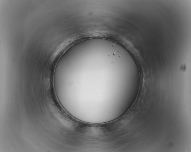 X0000111380250200907241316