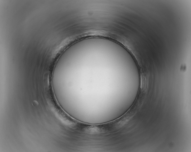 X0000111380253200907241316