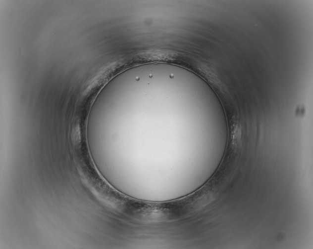 X0000111380254200907241316