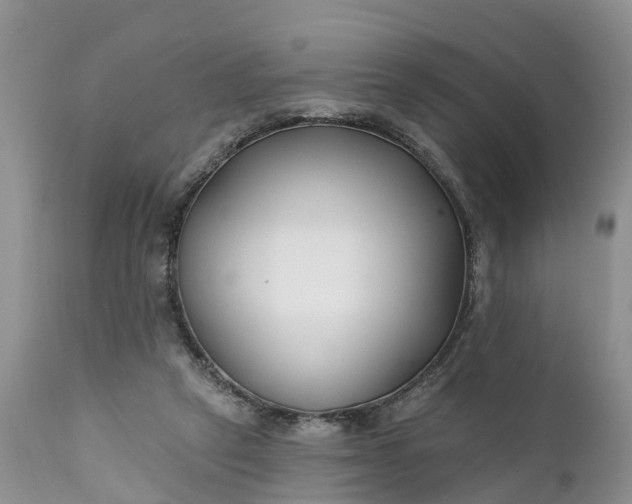 X0000111380257200907241316