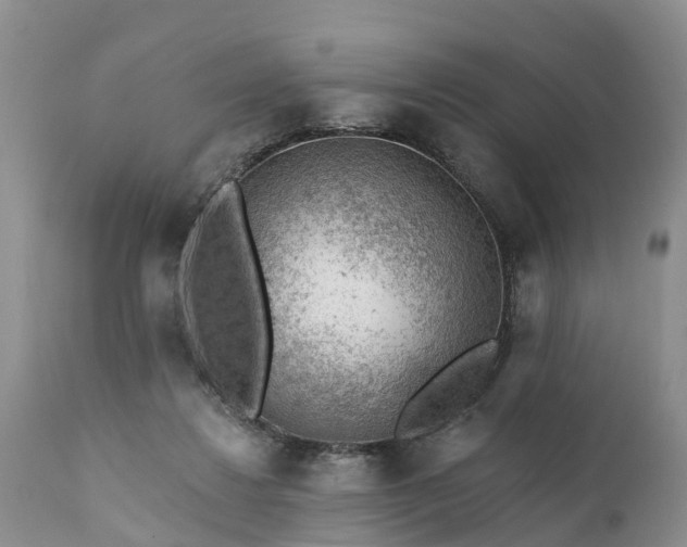 X0000111380260200907241316