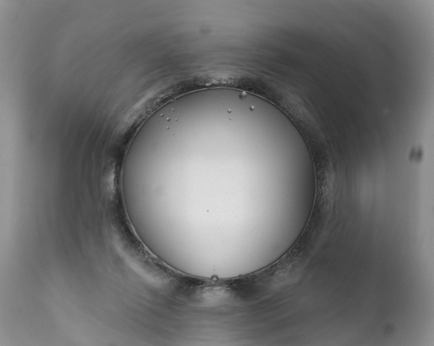 X0000111380262200907241316