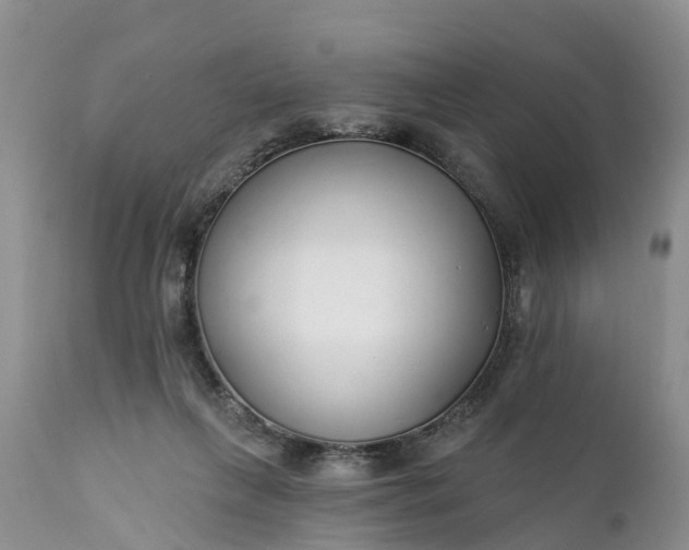 X0000111380263200907241316