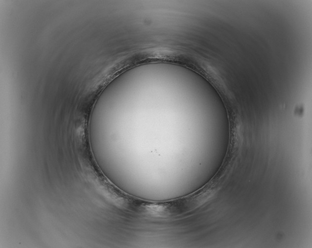 X0000111380265200907241316