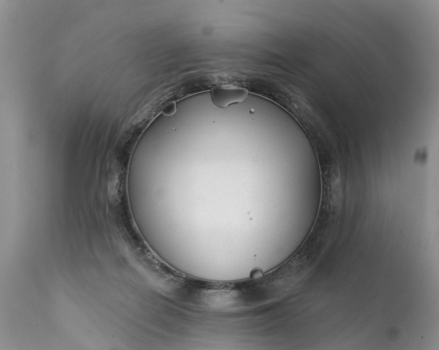 X0000111380266200907241316